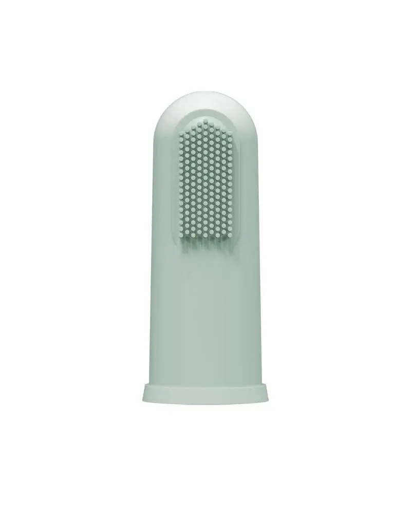 Dr. Brown's Brosse à dents en silicone avec étui 3M+ - Vert