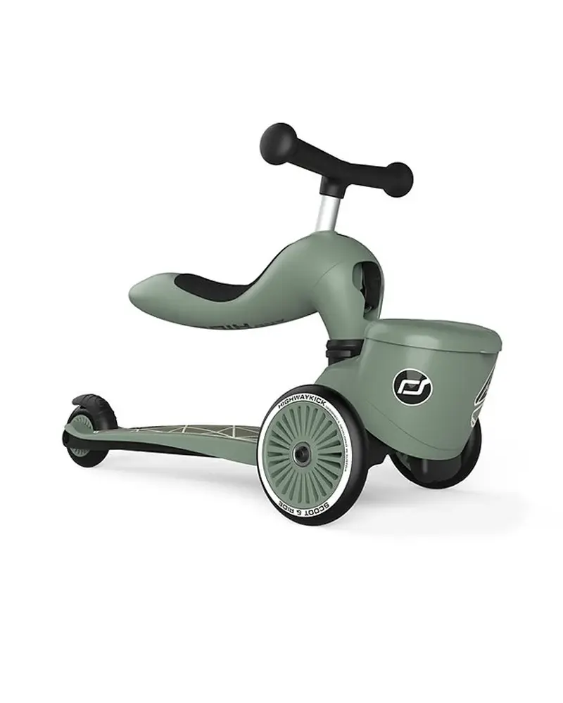 Trottinette Scoot And Ride 2 en 1 Highwaykick 1 Lifestyle - Lignes vertes